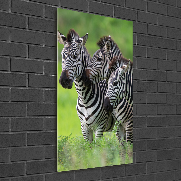 Verticaal glasschilderij Drie zebra's