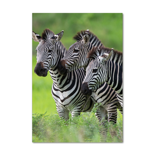 Verticaal glasschilderij Drie zebra's