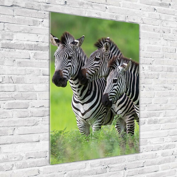 Verticaal glasschilderij Drie zebra's