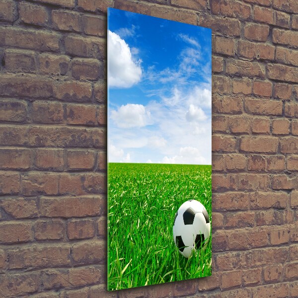 Verticale foto op glas Voetbal op het veld