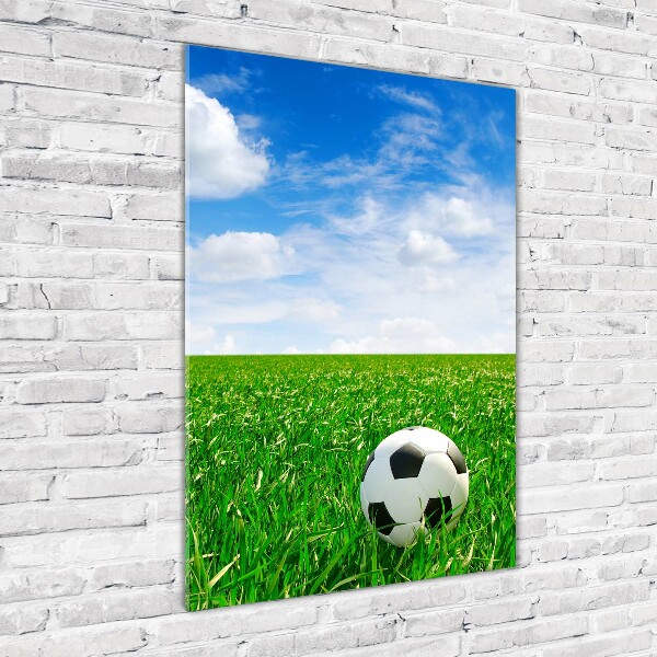 Verticale foto op glas Voetbal op het veld