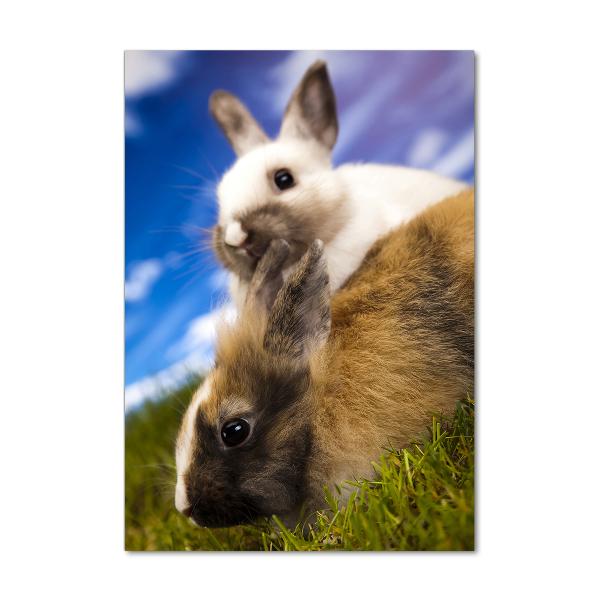 Verticale foto op glas Twee konijnen