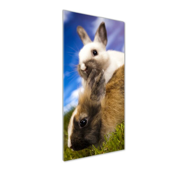 Verticale foto op glas Twee konijnen