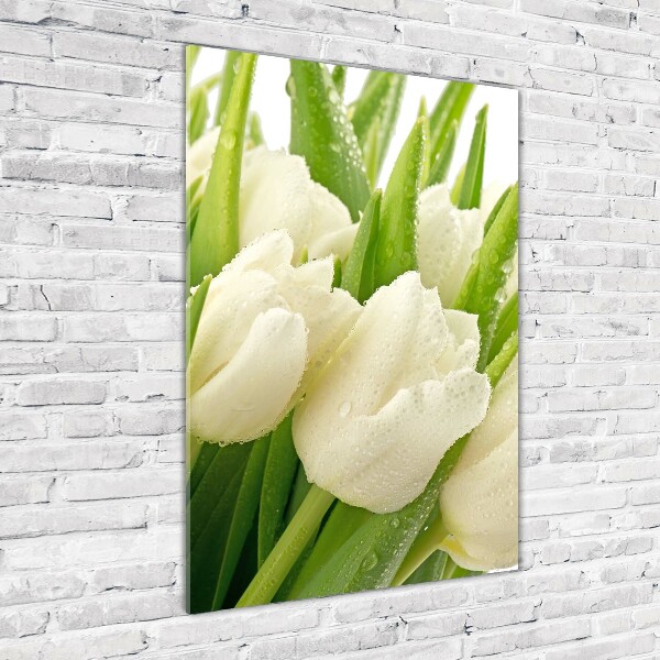 Verticale foto op glas Witte tulpen