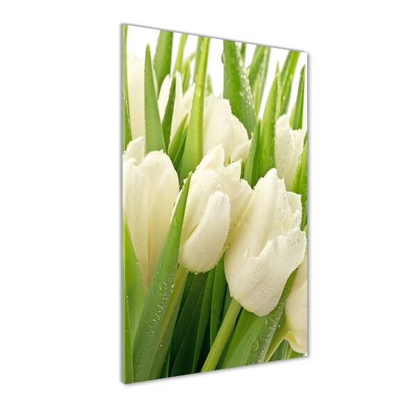 Verticale foto op glas Witte tulpen