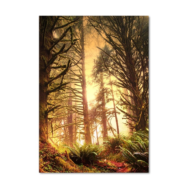 Verticale glasfoto regenwoud