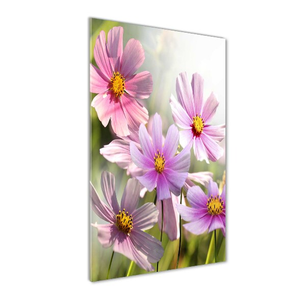 Verticale glasfoto Wilde bloemen