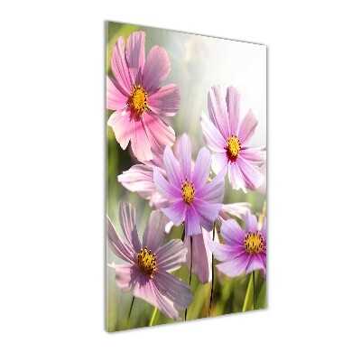 Verticale glasfoto Wilde bloemen