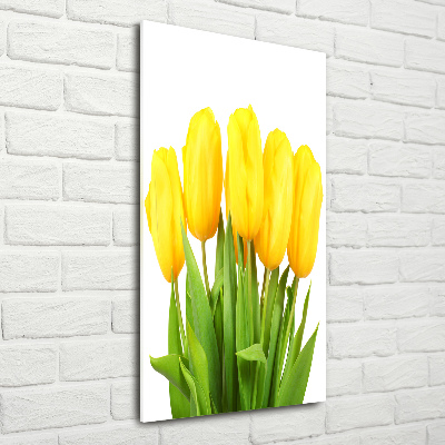 Verticale foto op glas Gele tulpen