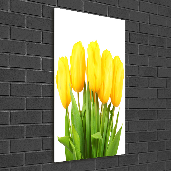 Verticale foto op glas Gele tulpen