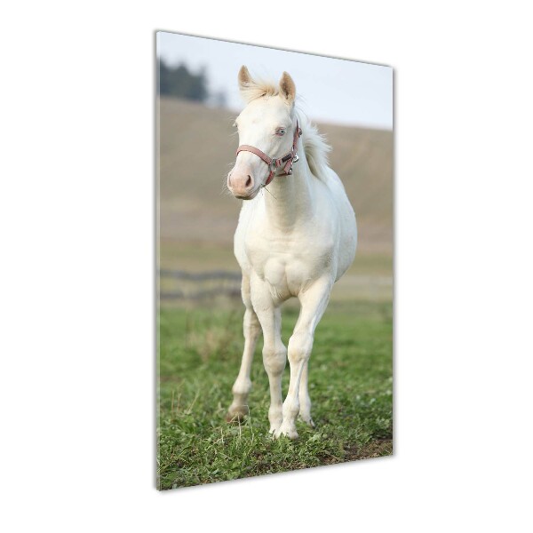 Verticale glasfoto Albino paard