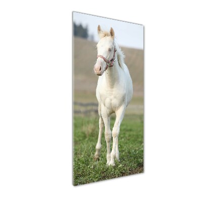 Verticale glasfoto Albino paard