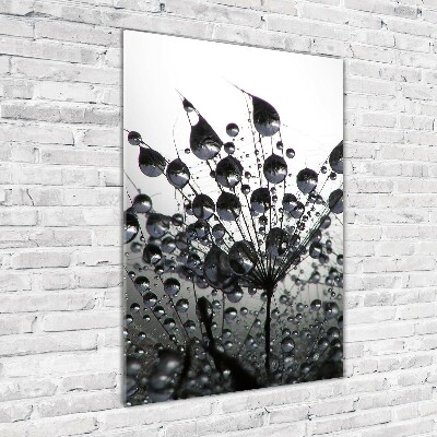 Verticale glasfoto Paardenbloemzaden