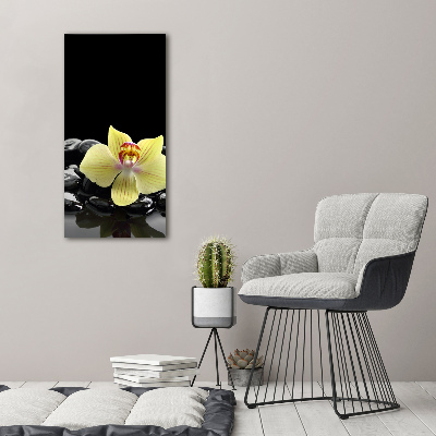Verticale foto op glas Orchidee en stenen