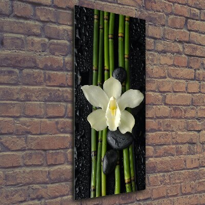 Verticale glasfoto Orchidee en bamboe