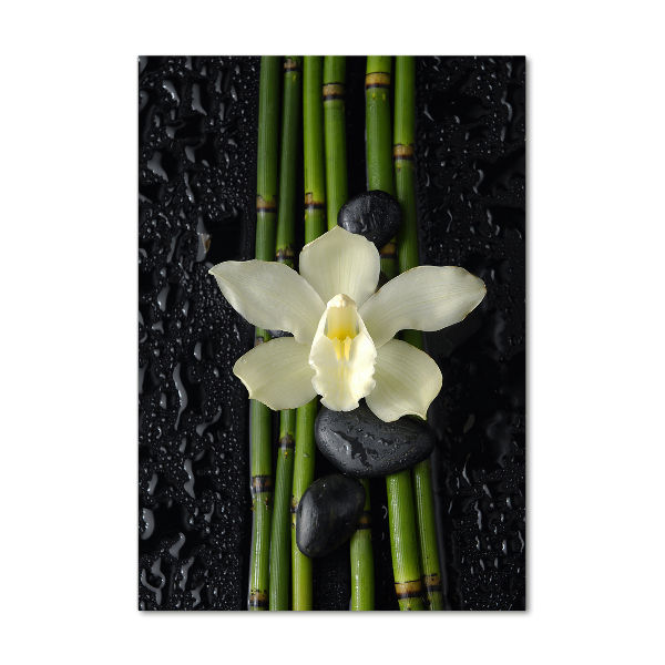 Verticale glasfoto Orchidee en bamboe