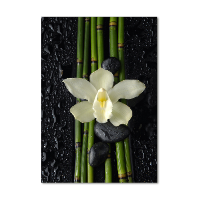 Verticale glasfoto Orchidee en bamboe