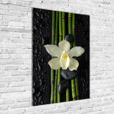 Verticale glasfoto Orchidee en bamboe