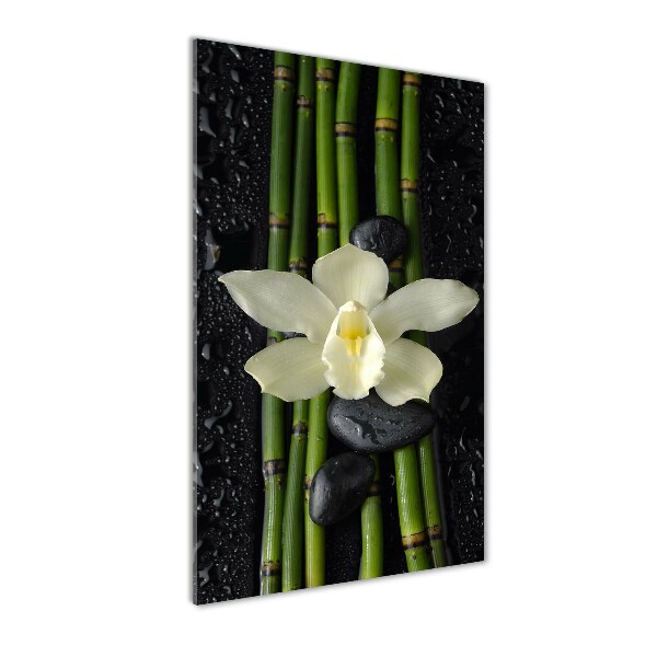 Verticale glasfoto Orchidee en bamboe