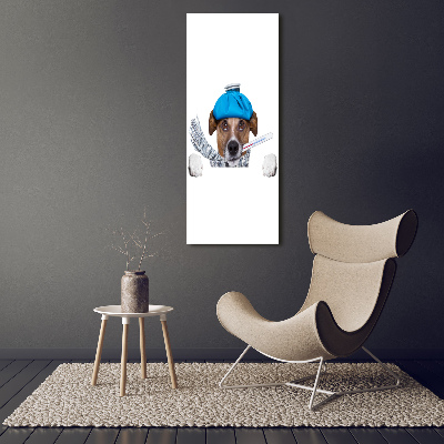 Verticale glasfoto Zieke hond