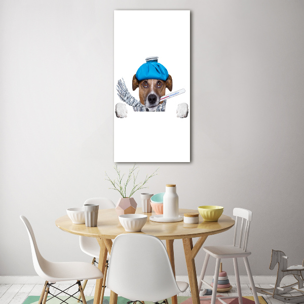 Verticale glasfoto Zieke hond