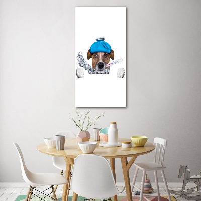 Verticale glasfoto Zieke hond