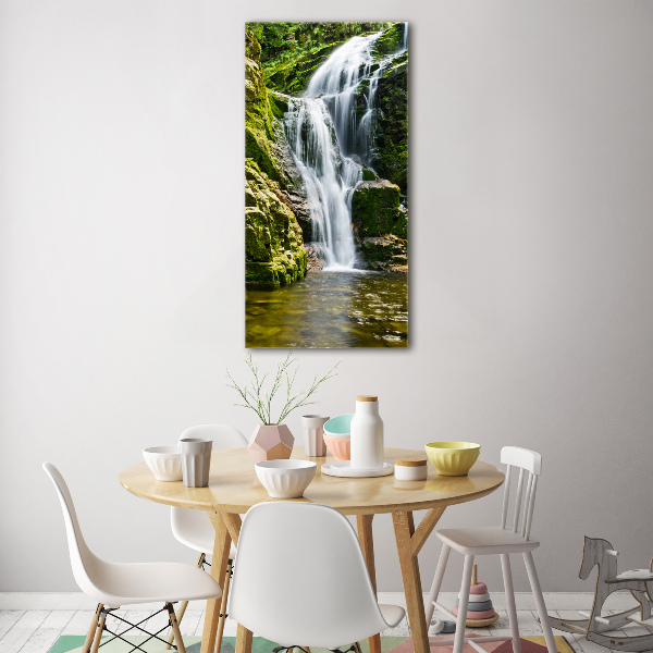 Verticale foto op glas Waterval