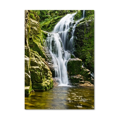 Verticale foto op glas Waterval