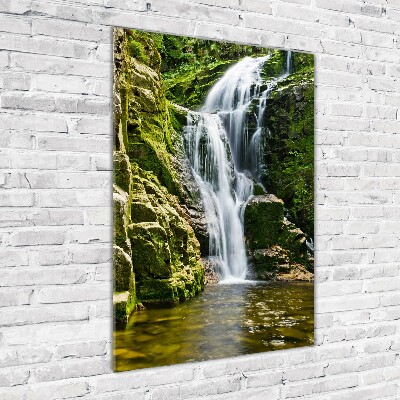 Verticale foto op glas Waterval