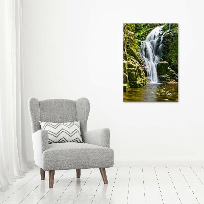 Verticale foto op glas Waterval