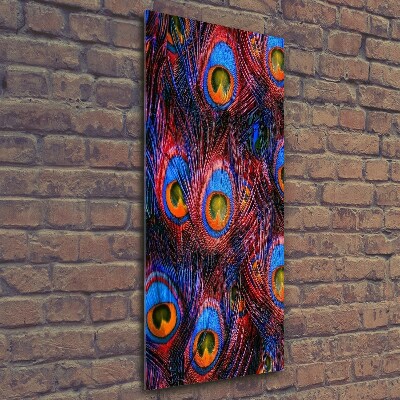 Verticale glasfoto Pauwenveren