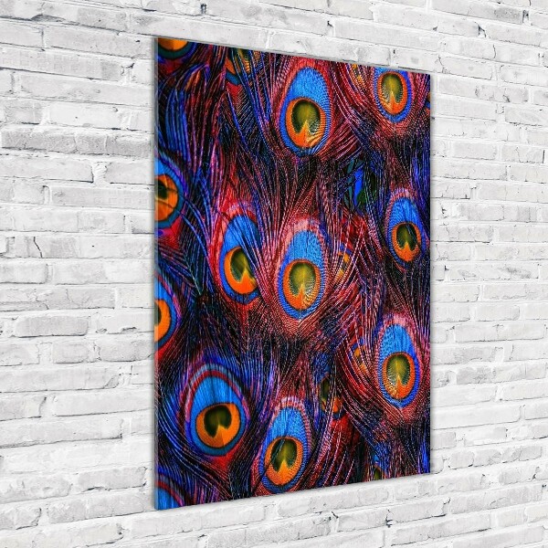 Verticale glasfoto Pauwenveren