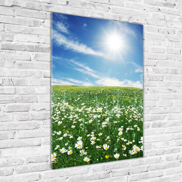 Verticale glasfoto Wei