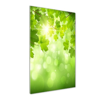 Verticale glasfoto Groene bladeren
