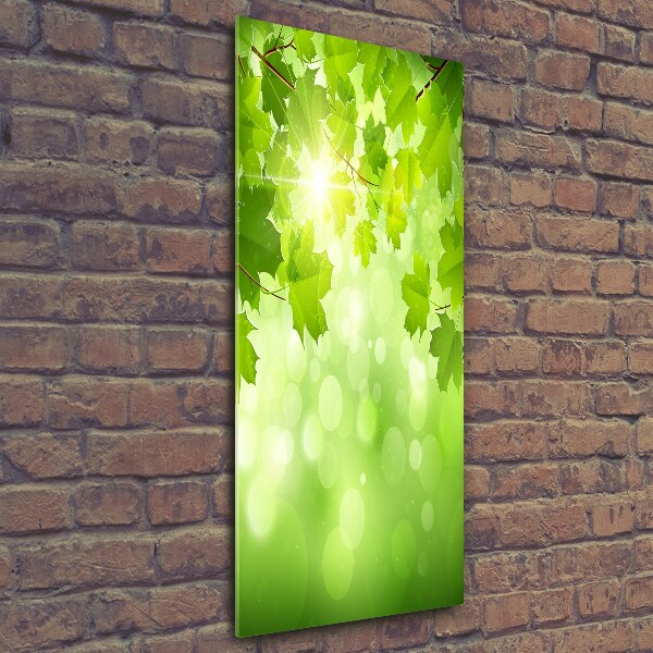 Verticale glasfoto Groene bladeren