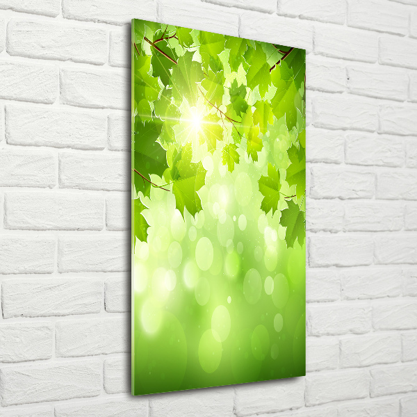 Verticale glasfoto Groene bladeren