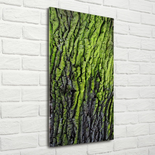 Verticale foto op glas Boomschors