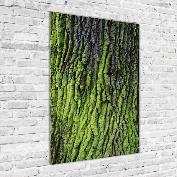 Verticale foto op glas Boomschors