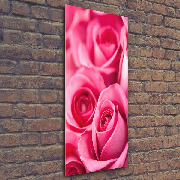 Verticale glasfoto Roze rozen