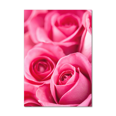Verticale glasfoto Roze rozen