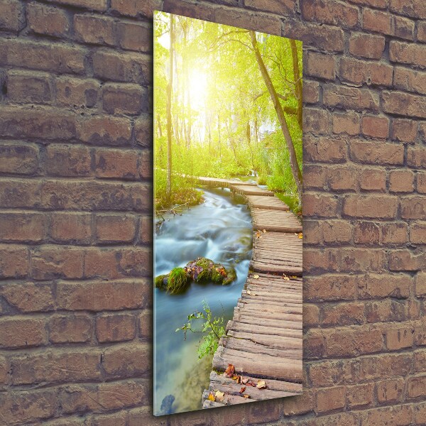 Verticale glasfoto Pad in het bos