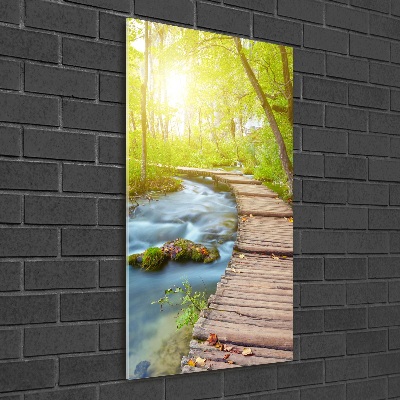 Verticale glasfoto Pad in het bos