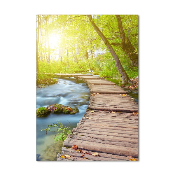 Verticale glasfoto Pad in het bos