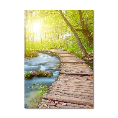 Verticale glasfoto Pad in het bos