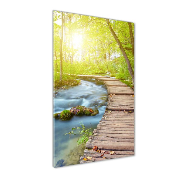 Verticale glasfoto Pad in het bos