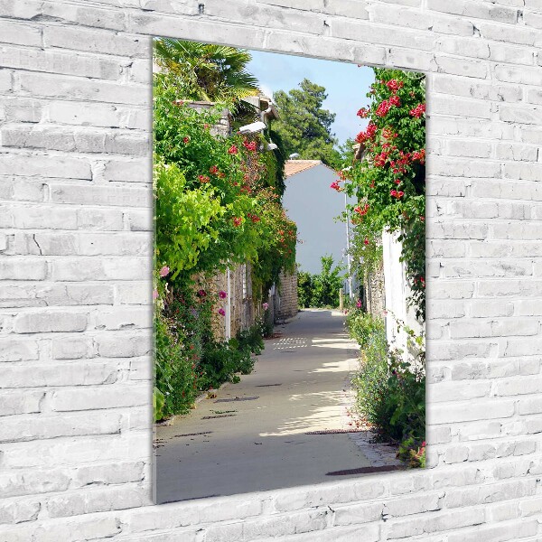 Verticale glasfoto Franse straten