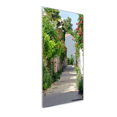 Verticale glasfoto Franse straten