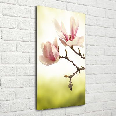 Verticale glasfoto Magnolia bloemen