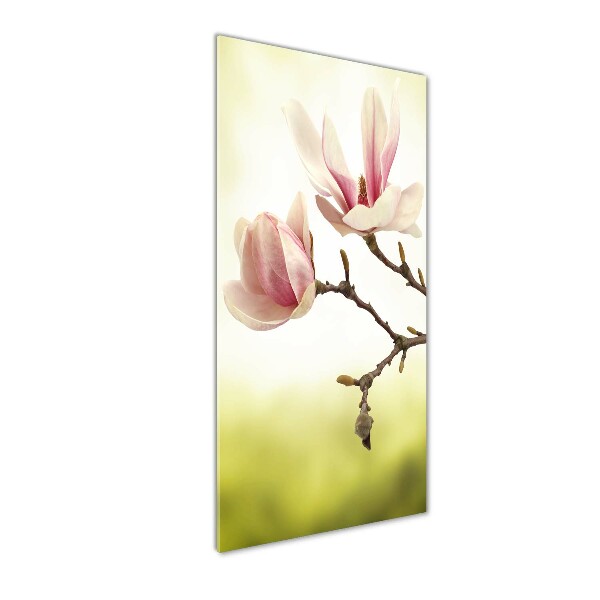 Verticale glasfoto Magnolia bloemen