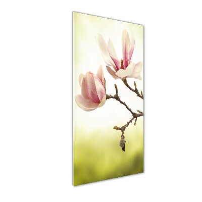 Verticale glasfoto Magnolia bloemen